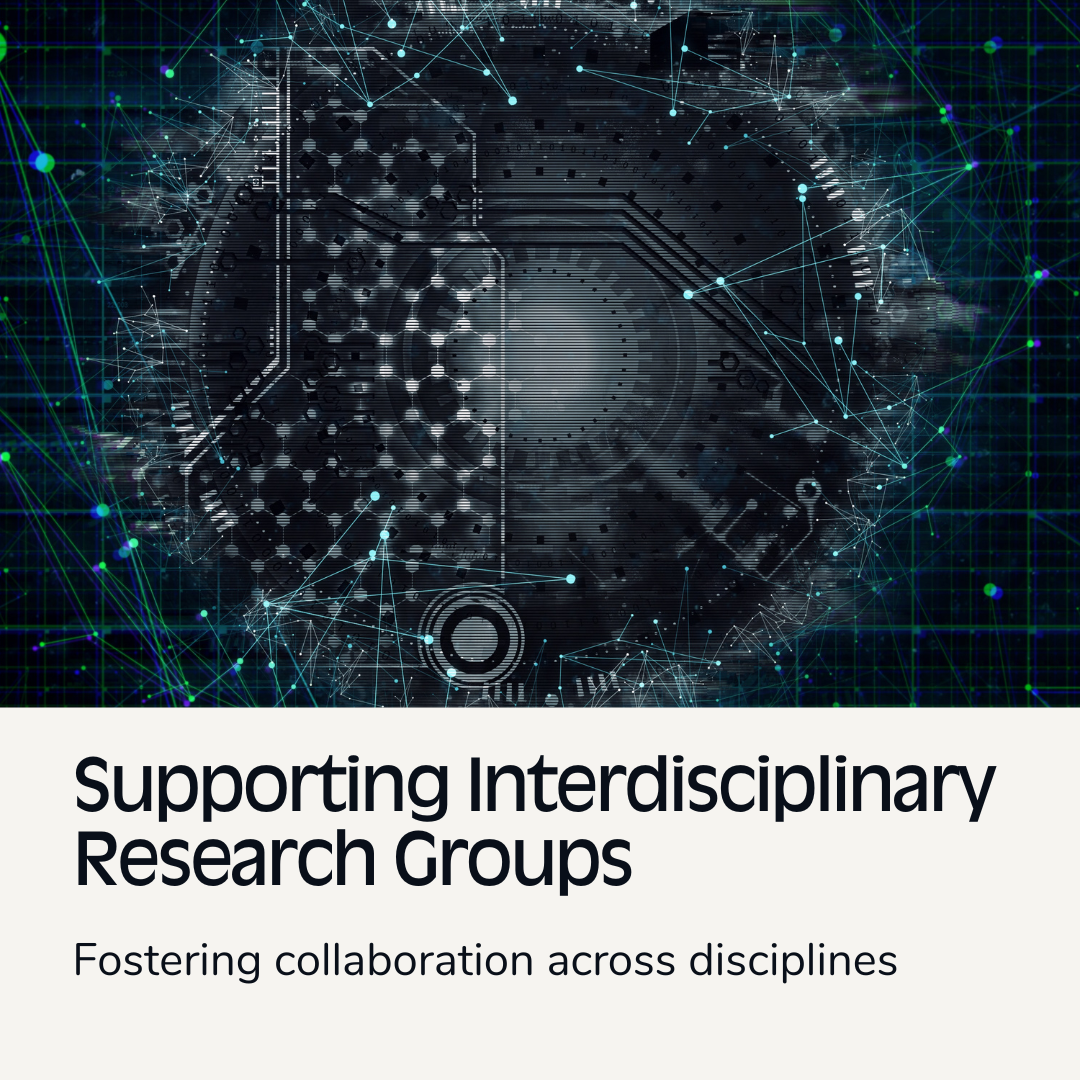 Interdisciplinary Research Groups Logo
