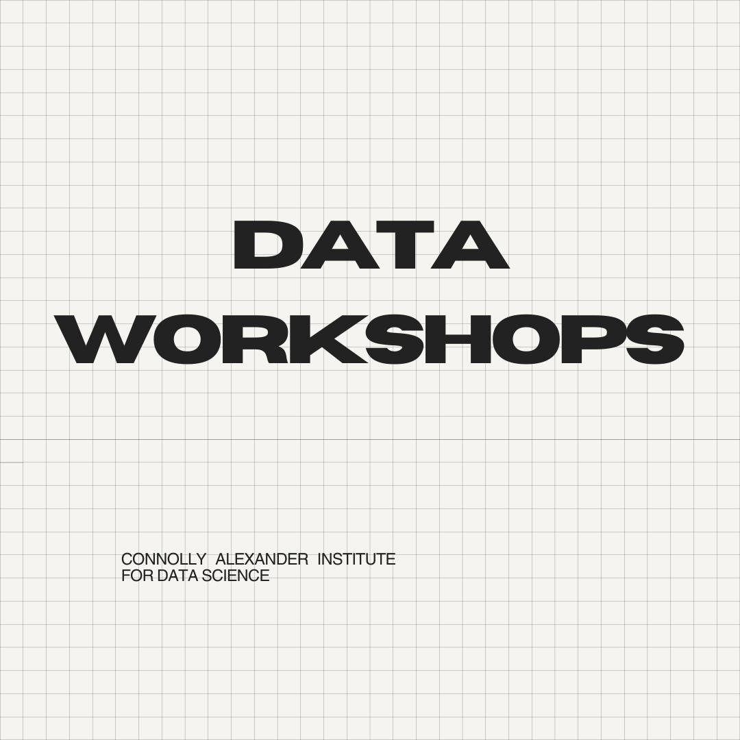 Data Workshops Logo