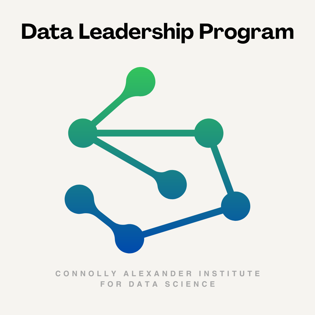 Data Leadership Program
