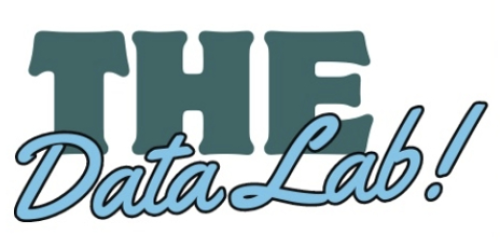 The Data Lab Banner in green and blue